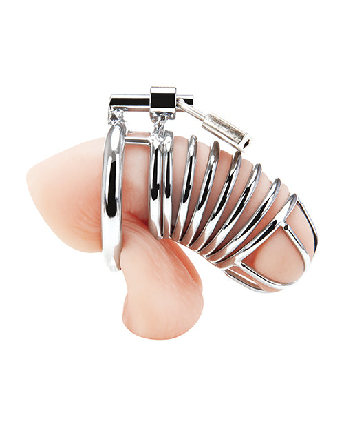 Blue Line Deluxe Chastity Cage - Silver - Naughtyaddiction.com