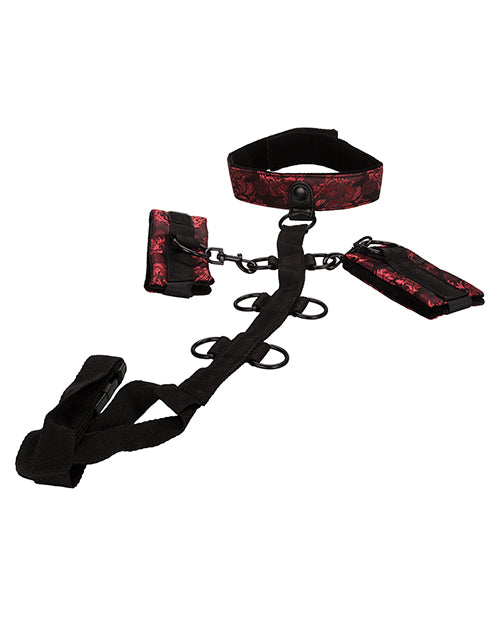Scandal Collar Body Restraint - Black-red - Naughtyaddiction.com